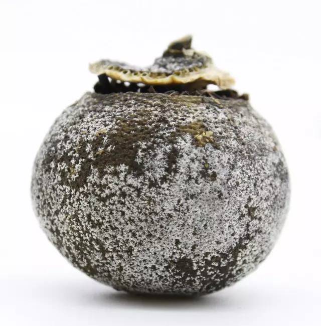 为什么不推荐喝小青柑,为什么不喝小青柑普洱茶