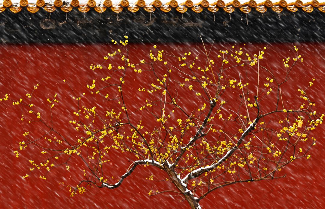 香港第14届全国摄影艺术展,第29届全国摄影艺术展览获奖名单