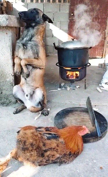 每日一笑看完你能不能忍住不笑,每日一笑看了让你笑