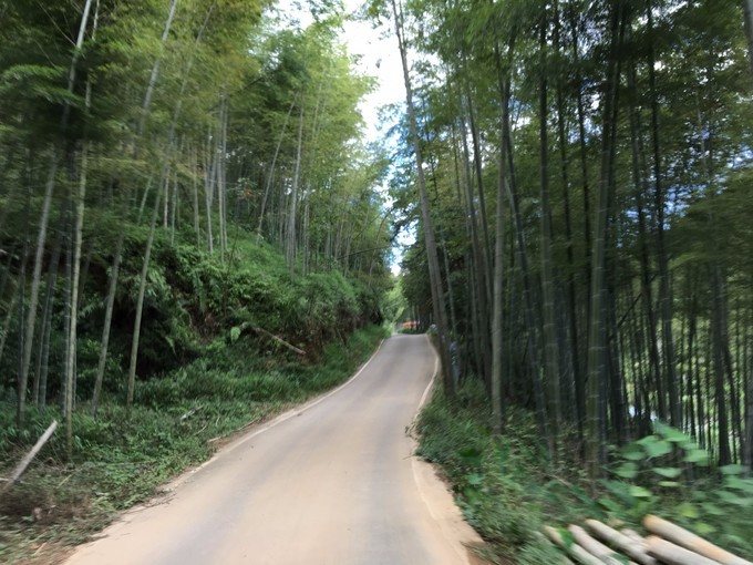 从化溪头自驾游视频,从化溪头村一日游路线