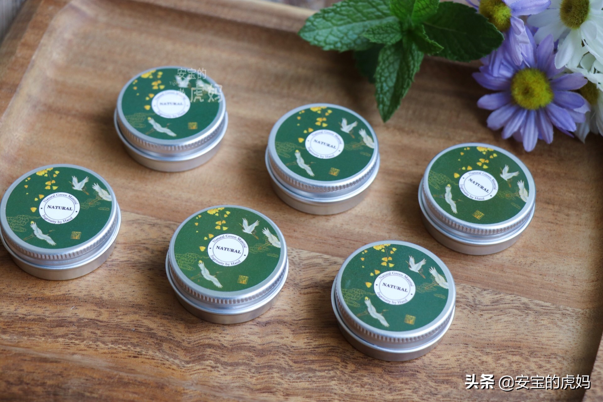 用薄荷做薄荷驱蚊膏,薄荷蚊虫膏制作