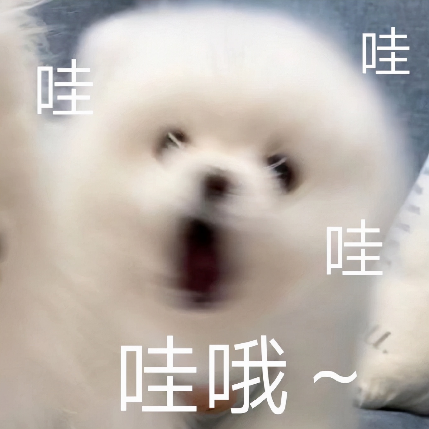 副业零成本,零成本副业的项目