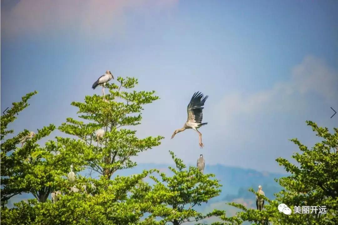 2019年,时光写就这样的开远