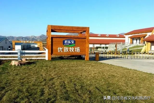 一鹿走来鹿泉,一路走来的最新视频