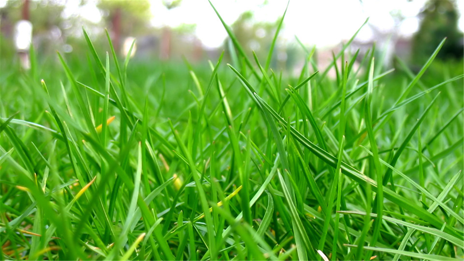 蓝色护眼壁纸唯美图片,最美的护眼桌面壁纸