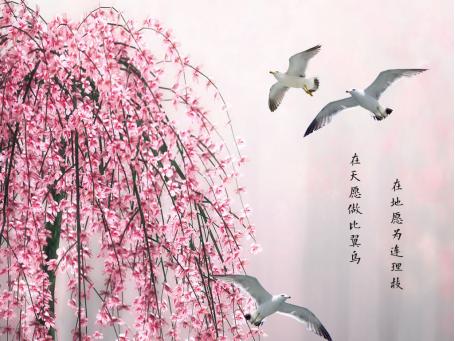 原来，“霸道王爷爱上我”，最早出自《诗经》！