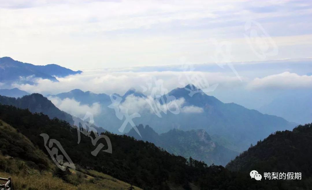 自驾车游遍中国之（一）——世界那么大，我想去神农架