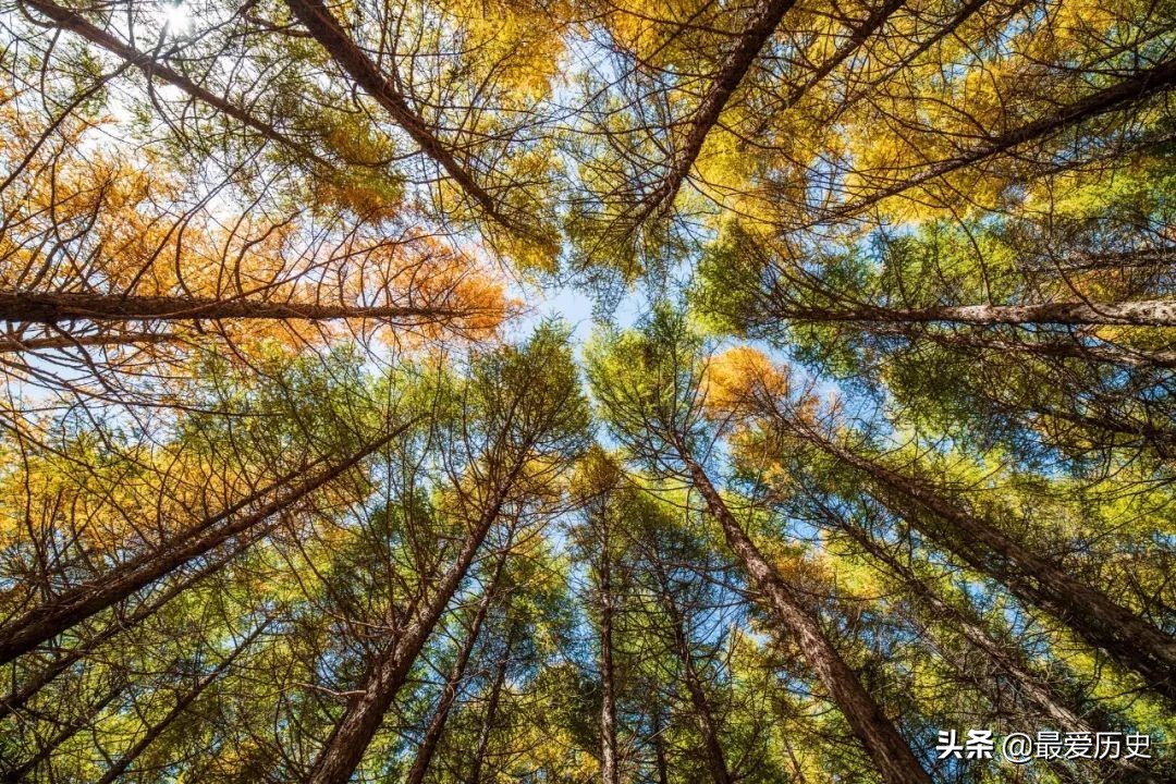 现当代古典情诗推荐,十首最美好的情诗古诗词