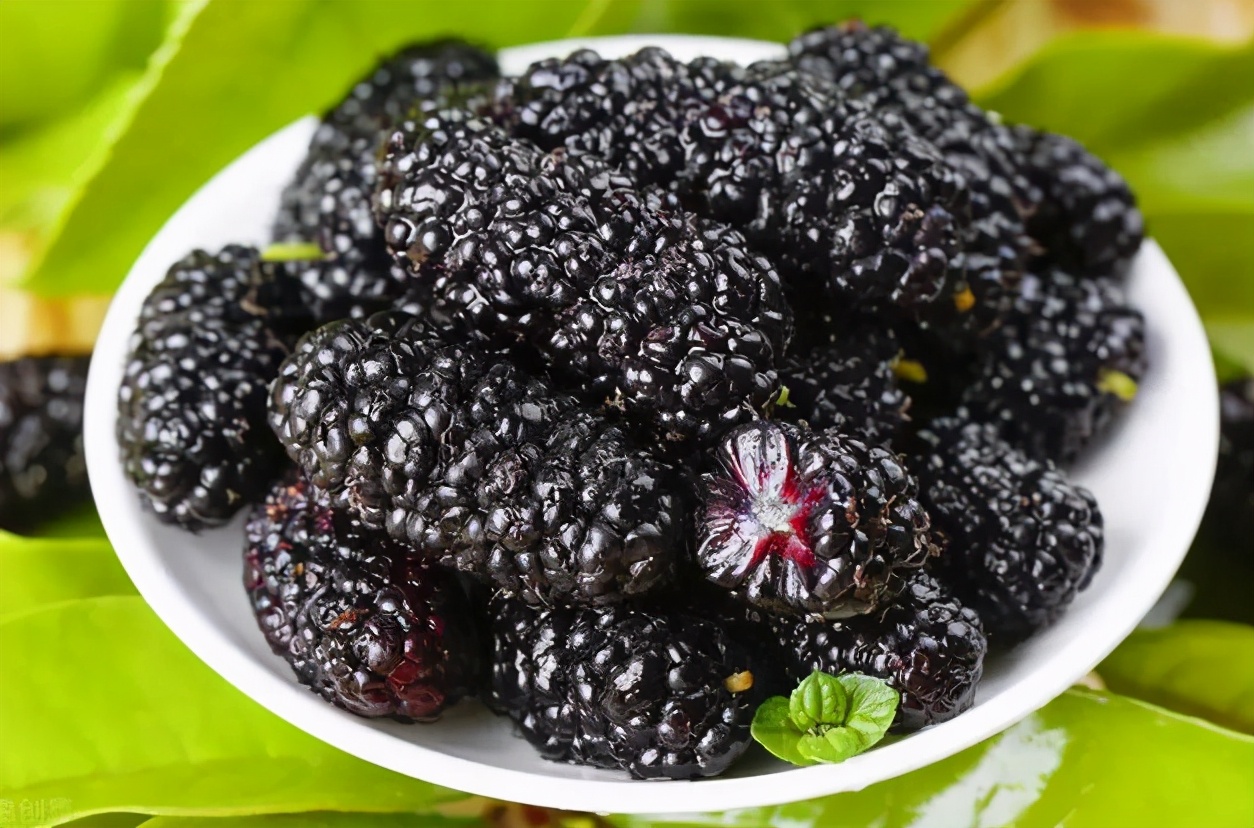 洗桑葚正确方法,洗桑葚只有清水怎么洗