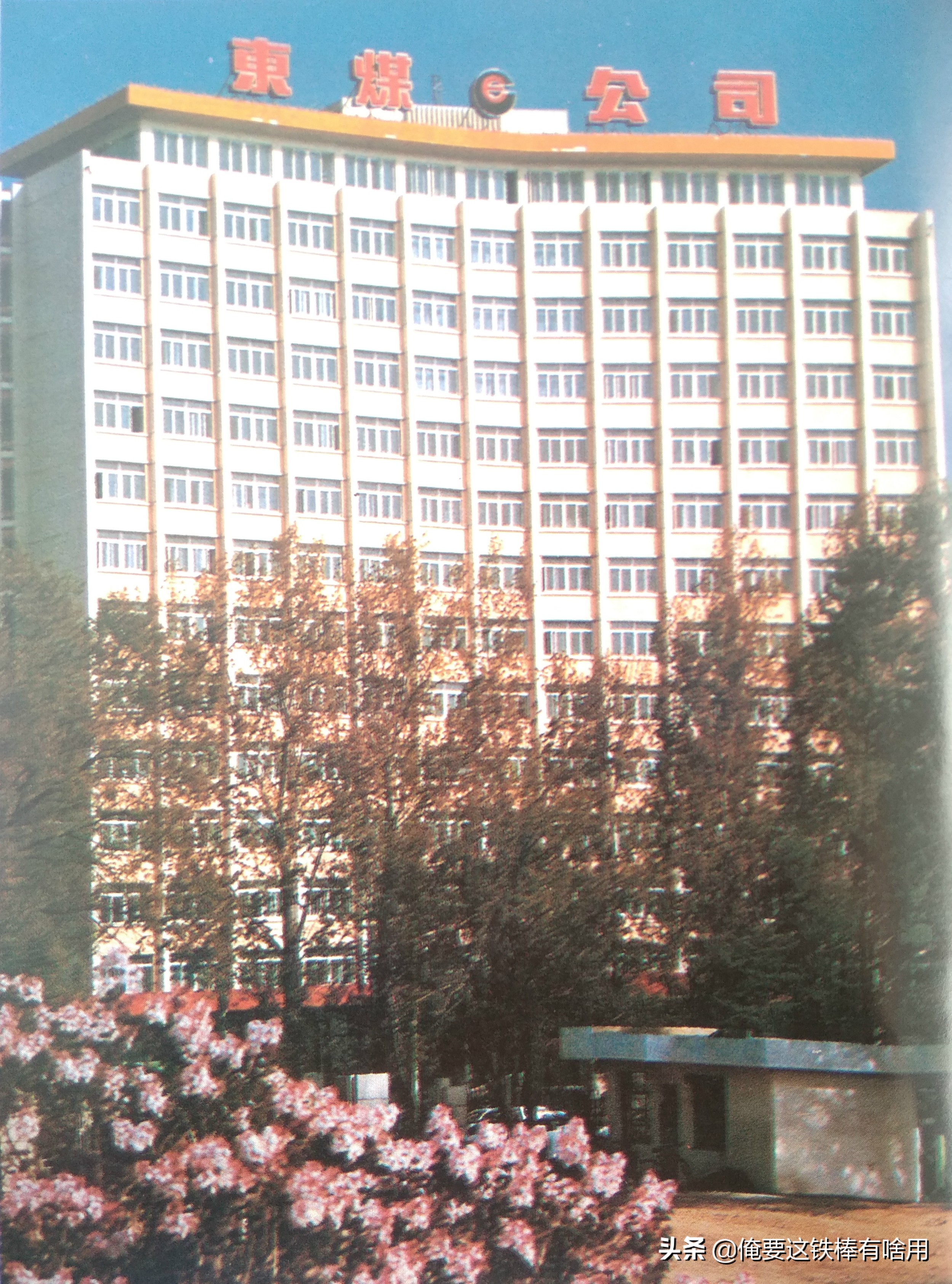 烧鸡配茅台，电影院下面还有咖啡厅，想不到那时候的长春还挺潮