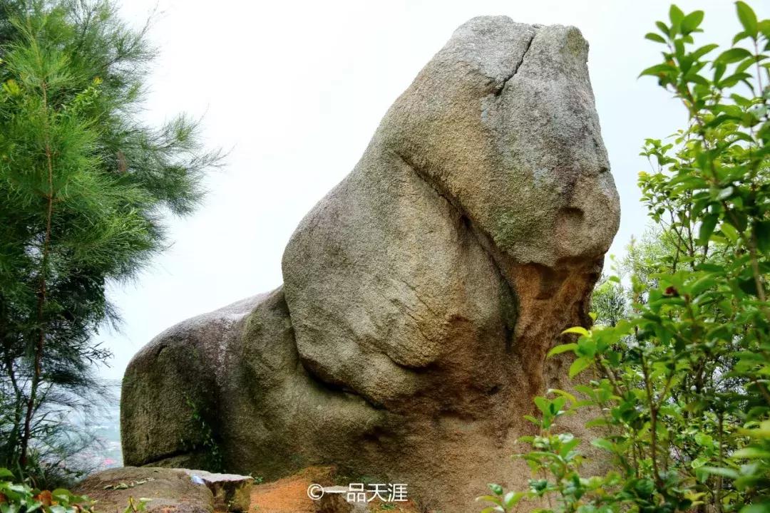 探大钱，起大厝，每个闽南人心中都有座南洋楼