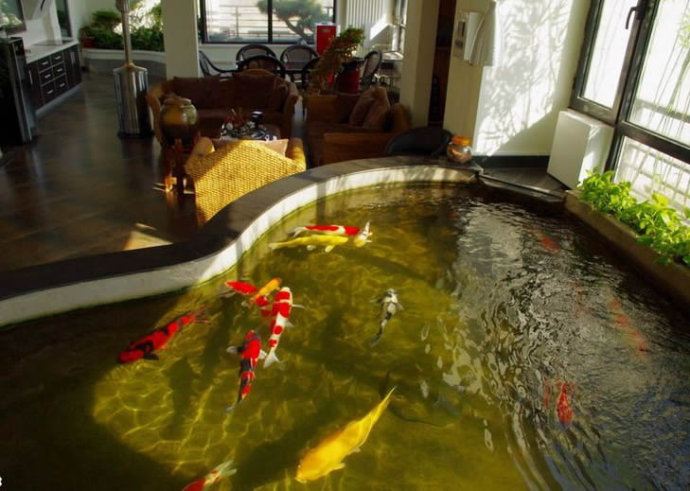 鱼百滋酸菜鱼即墨团购,鱼百科app