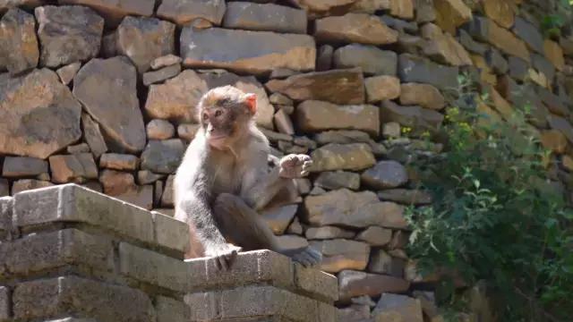 山西长治通天峡景区现在营业吗,长治通天峡旅游直通车