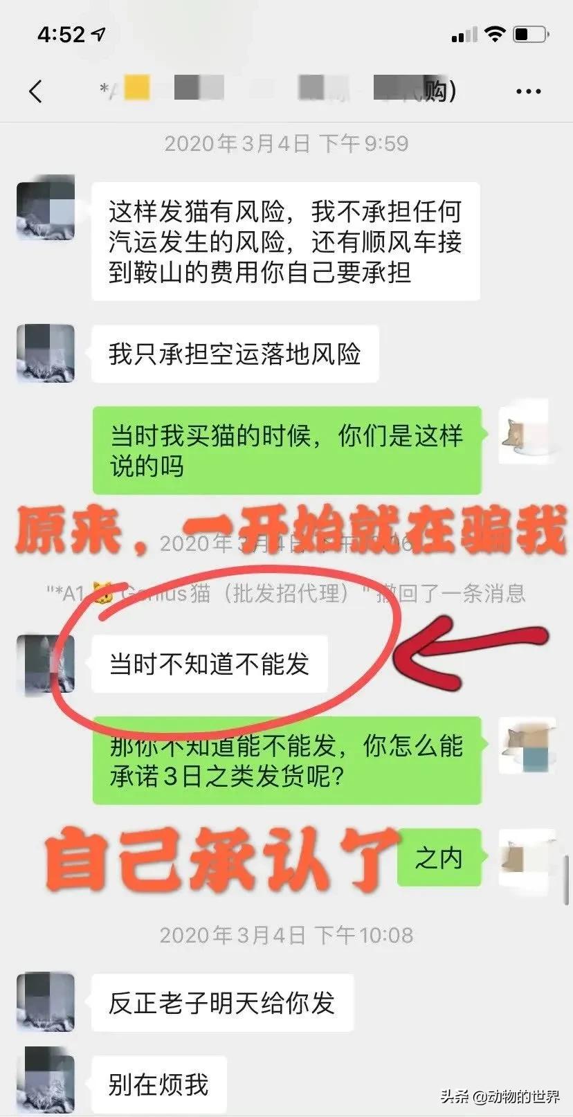 在网上买400多的缅因可以吗,一万多买的缅因猫死了