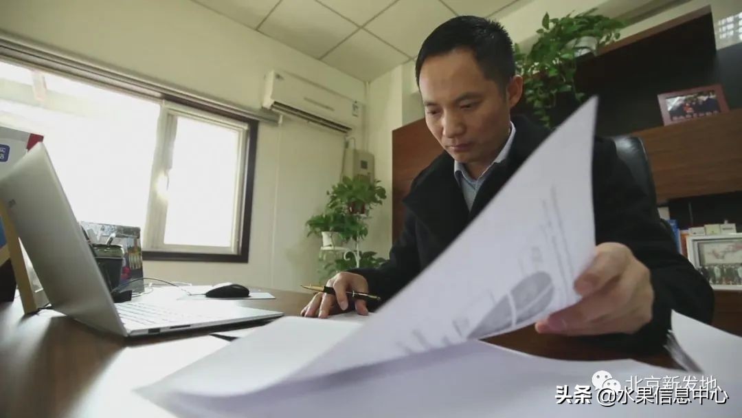 水果大王们生意经,水果生意经