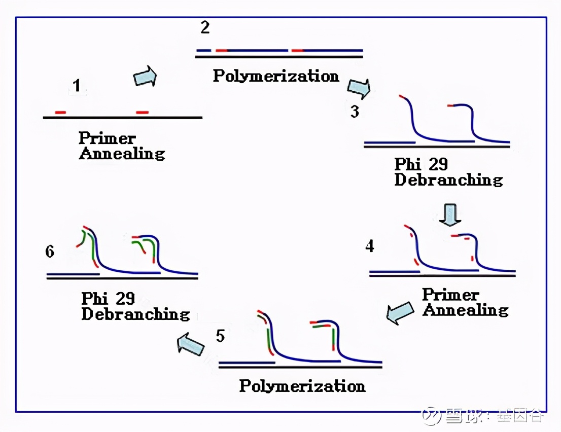 全场硬菜！分子诊断技术全解析