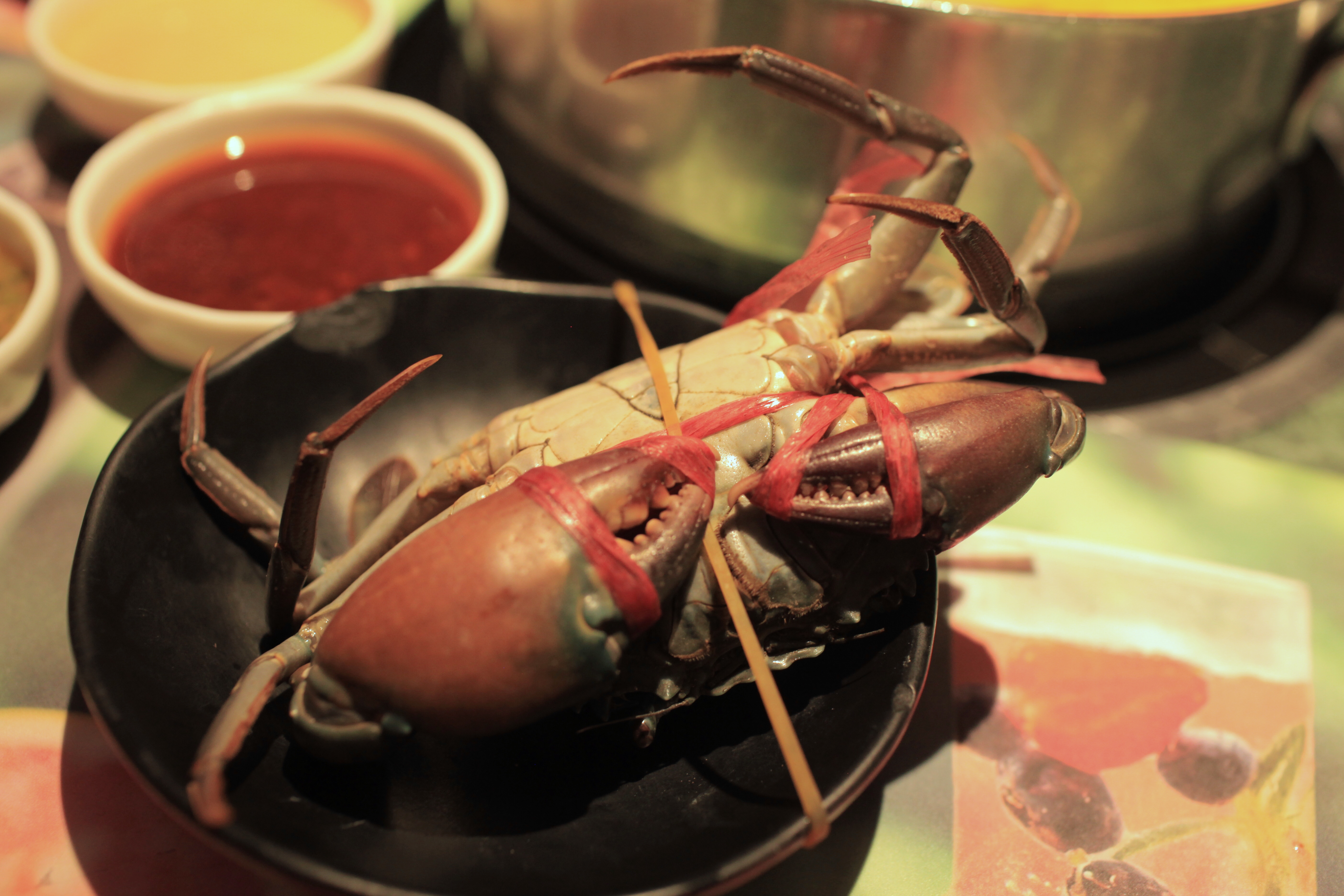 成都网红火锅烧烤,成都烧烤串串推荐