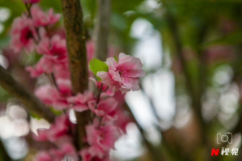 博鳌旅游度假攻略,博鳌旅游攻略2天一夜住宿推荐