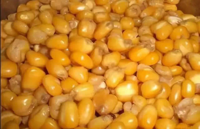 鱼为什么喜欢吃麦子,鱼为什么喜欢吃虾饵