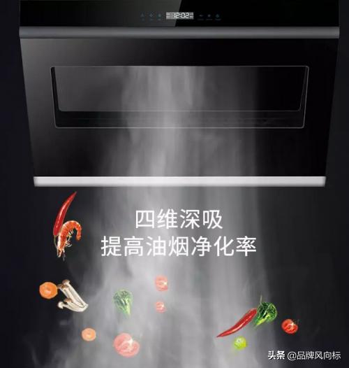 莱普帝斯油烟味,莱普帝斯油烟机靠谱吗