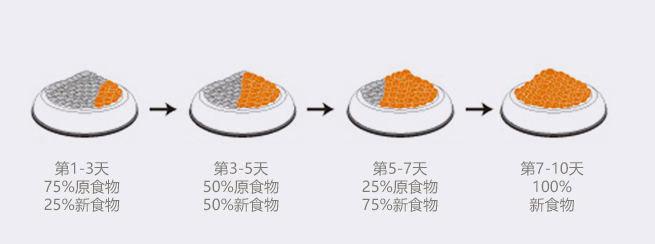 几个月的幼犬容易养活,几个月的小狗怎么喂