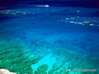 在这些珊瑚海蓝色的车里听《珊瑚海》是怎样的感受？