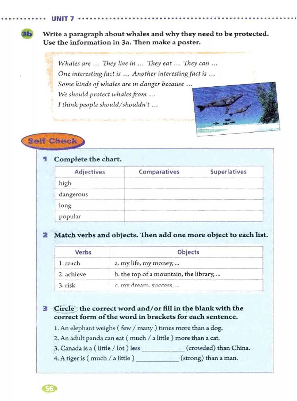 人教版英语电子课本八年级,人教版八年级下册英语优质课视频