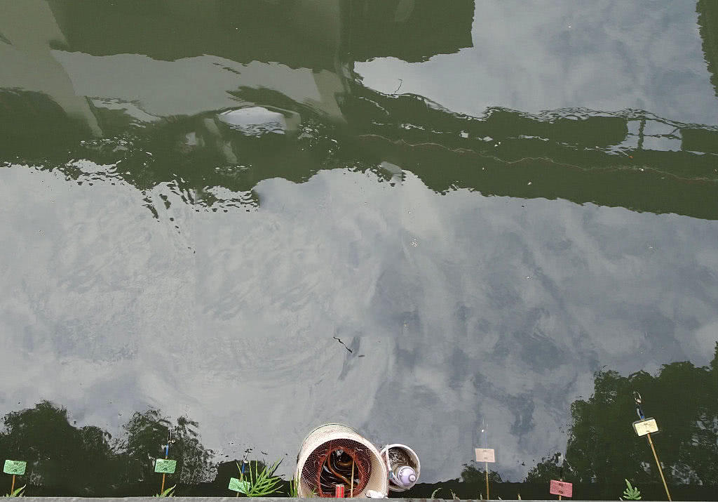 为什么河岸边石头缝里钓到的黄鳝更肥更大?老头给了我答案