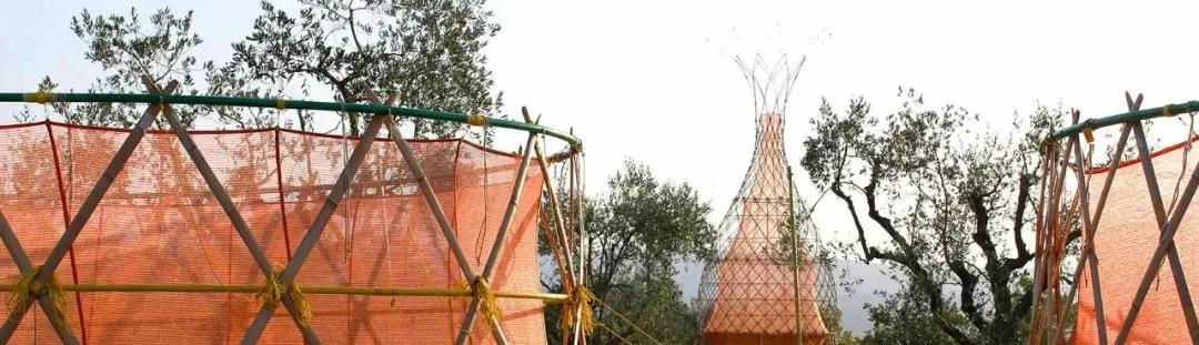 设计师在非洲做了个花篮，用来向天空借水