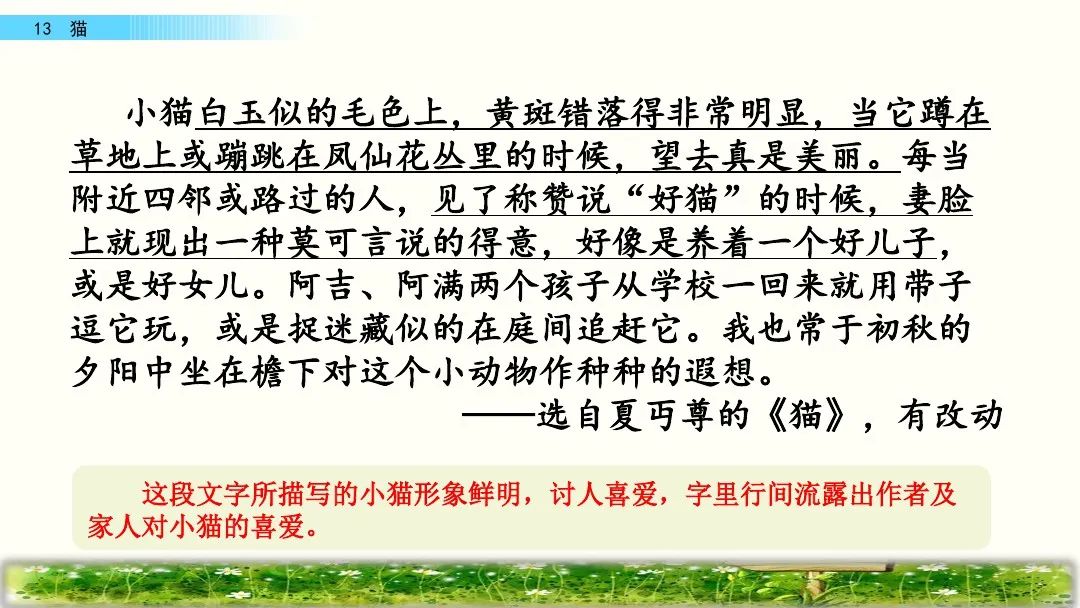 四年级下册语文13课猫课文解析,部编版四年级下册13猫教学视频