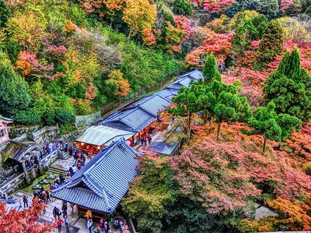 停车坐爱枫林晚风景,停车坐爱枫林晚季节