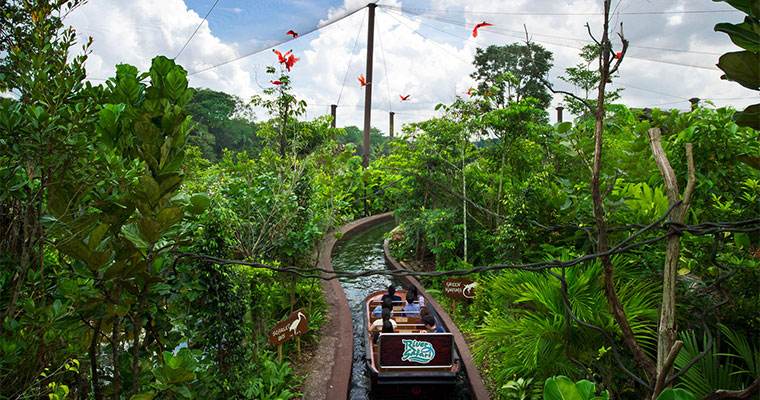 新加坡三个动物园哪个最好,新加坡动物园哪个最值得去看