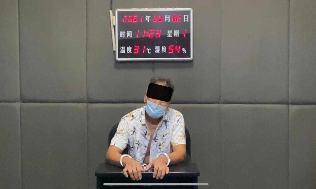 护航新征程回放,护航新征程在线观看