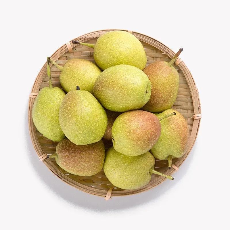 库尔勒秋天的香梨,库尔勒香梨香甜多汁