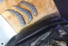 商品饵成分自制方法,发酵鱼饵绝密配方