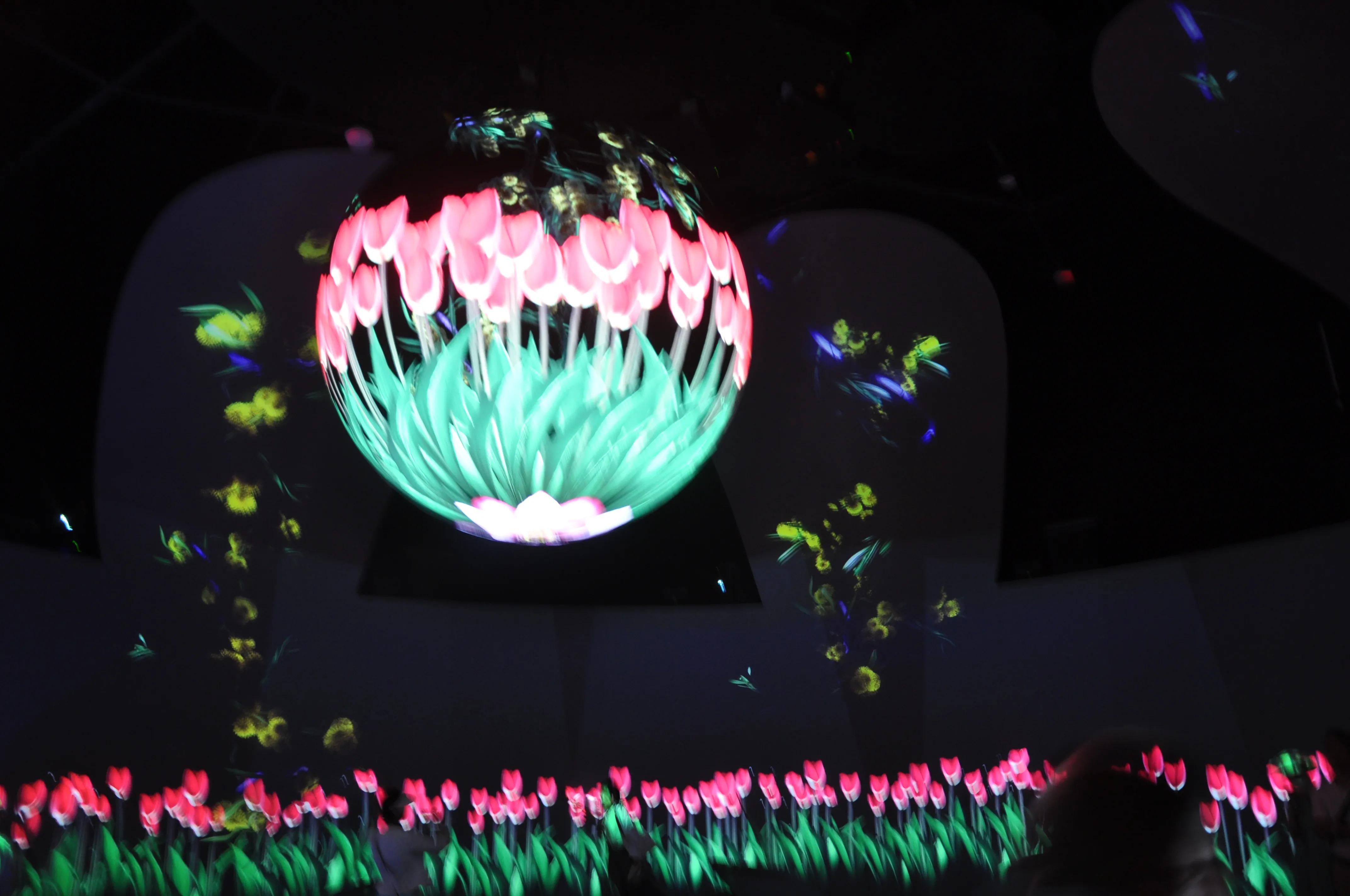 漳州东南花都花博会巡游,花博会花神巡游打卡