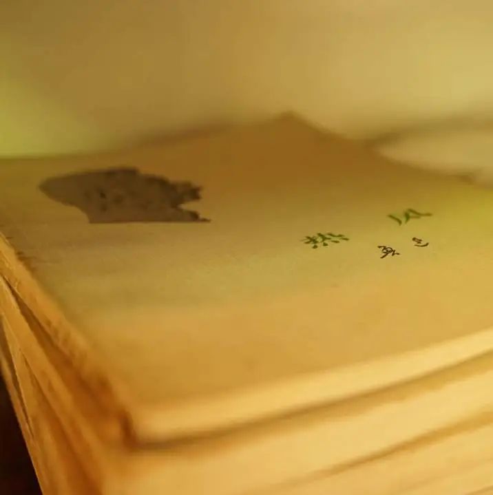 人民公园小南街,人民公园长发魔女