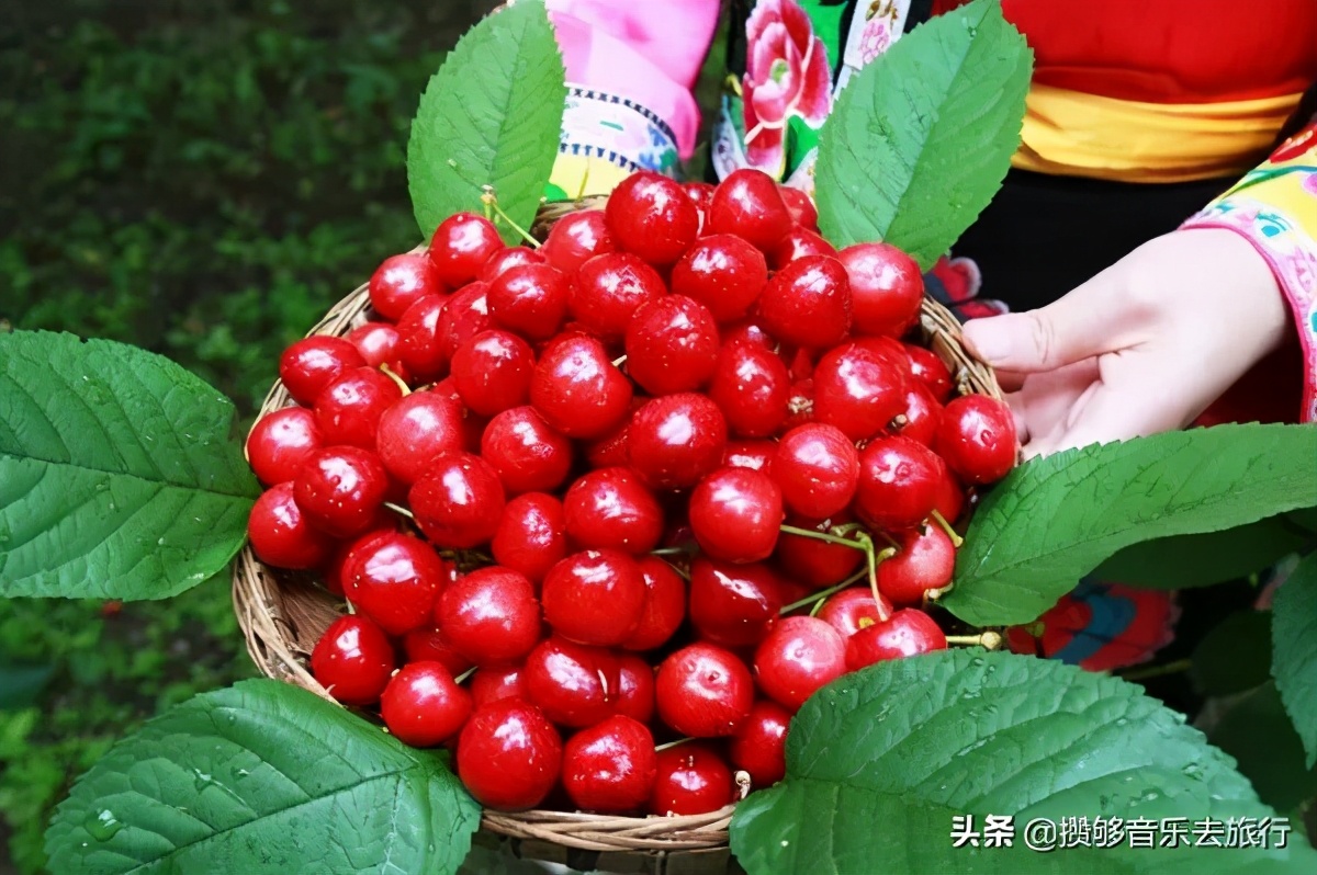 四川阿坝我的家乡,我的家乡汶川特色美景