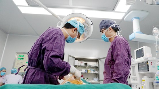 想吸脂减肥具体需要怎么做,想做个吸脂去哪家医院