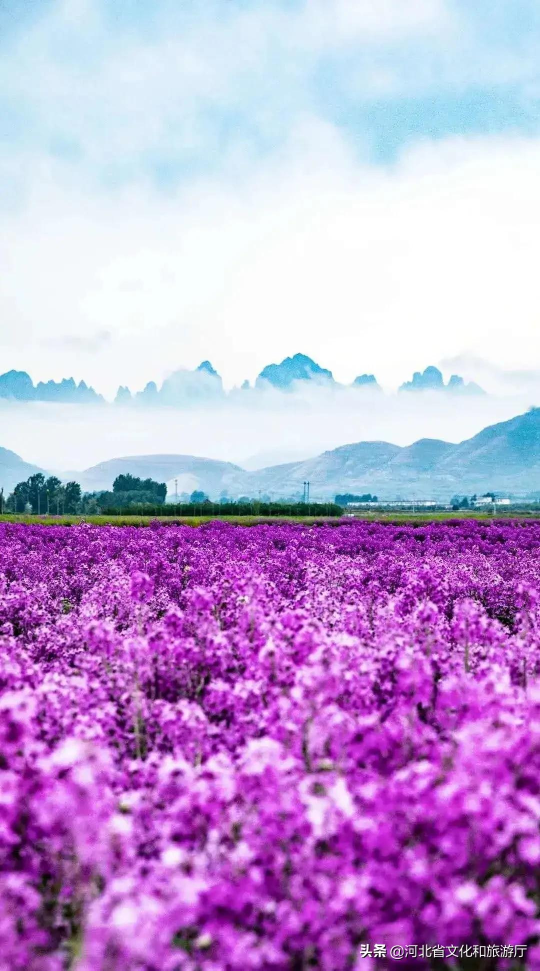 爱家乡爱保定,爱家乡游邯郸