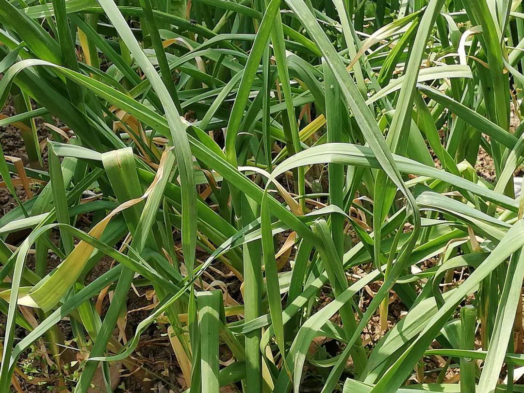 闲着木事儿，你来俺家玩儿呗