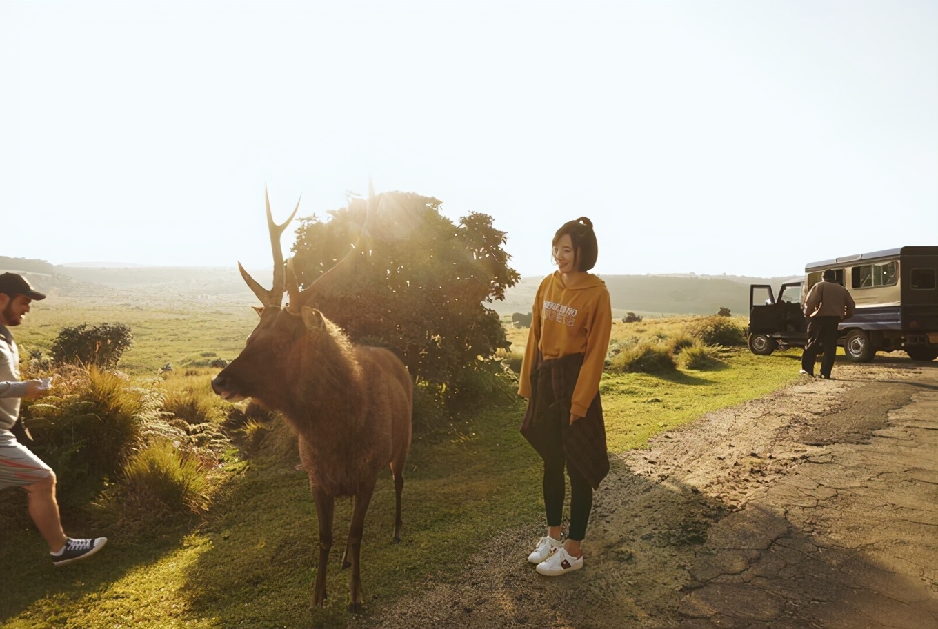 斯里兰卡攻略图片,攻略斯里兰卡旅游最省费用的路线