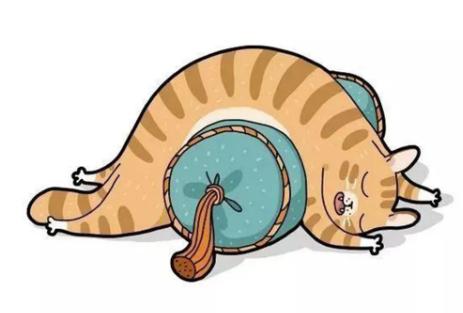 猫突然猝死有先兆吗,猫多久不会猝死