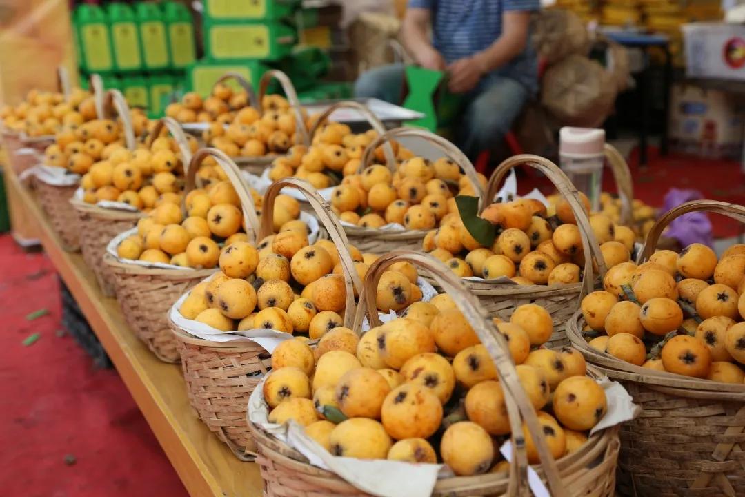 杭州塘栖枇杷采摘寄快递,塘栖枇杷采摘地点推荐