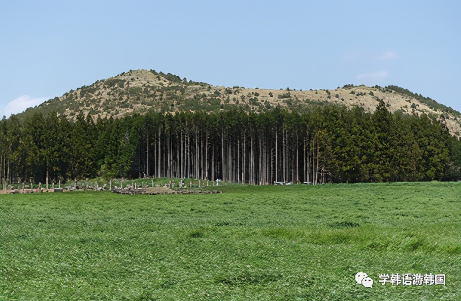 济州岛穿搭夏天旅游凉快,济州岛夏日旅行