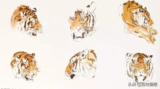 老虎简单写意,写意老虎图片