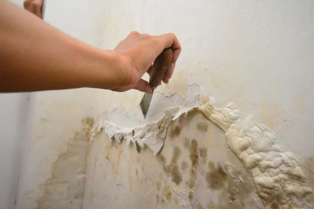 睡觉青苔霉菌连一起可靠信赖求助呼援通