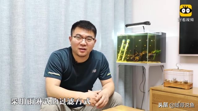 大缸什么过滤效果最好,什么过滤方式小缸效果最佳