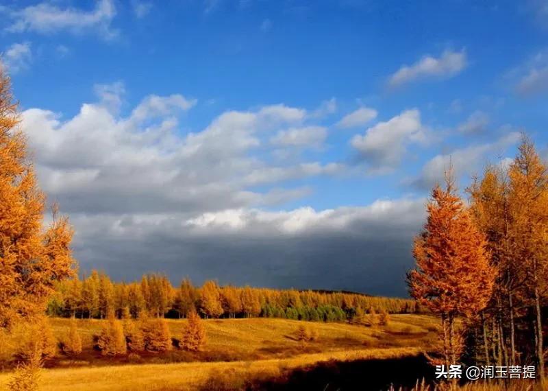 燕赵大地河北视频,燕赵大地河北省