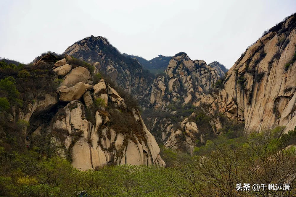 阳春四月春意盎然,阳春四月艳阳照
